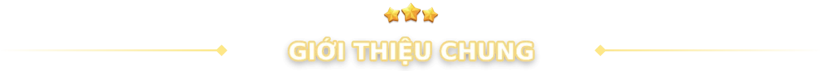 Giới thiệu chung về nhà cái 999bet